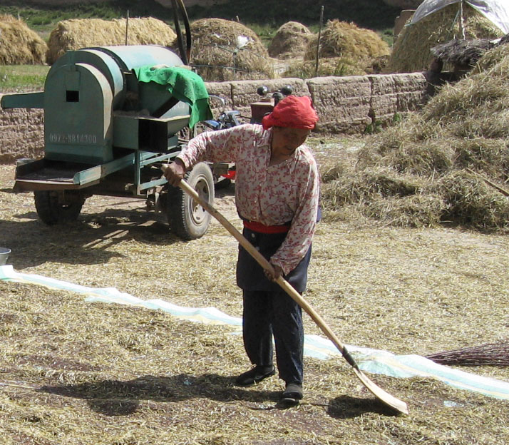 spreading crops